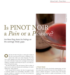 Time Craft Vol 2- Pino Noir